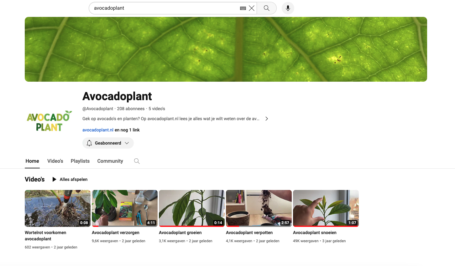 Domeinnaam avocadoplant.nl met 40K bezoekers per jaar-scherm-afbeelding-2024-01-om-08-png