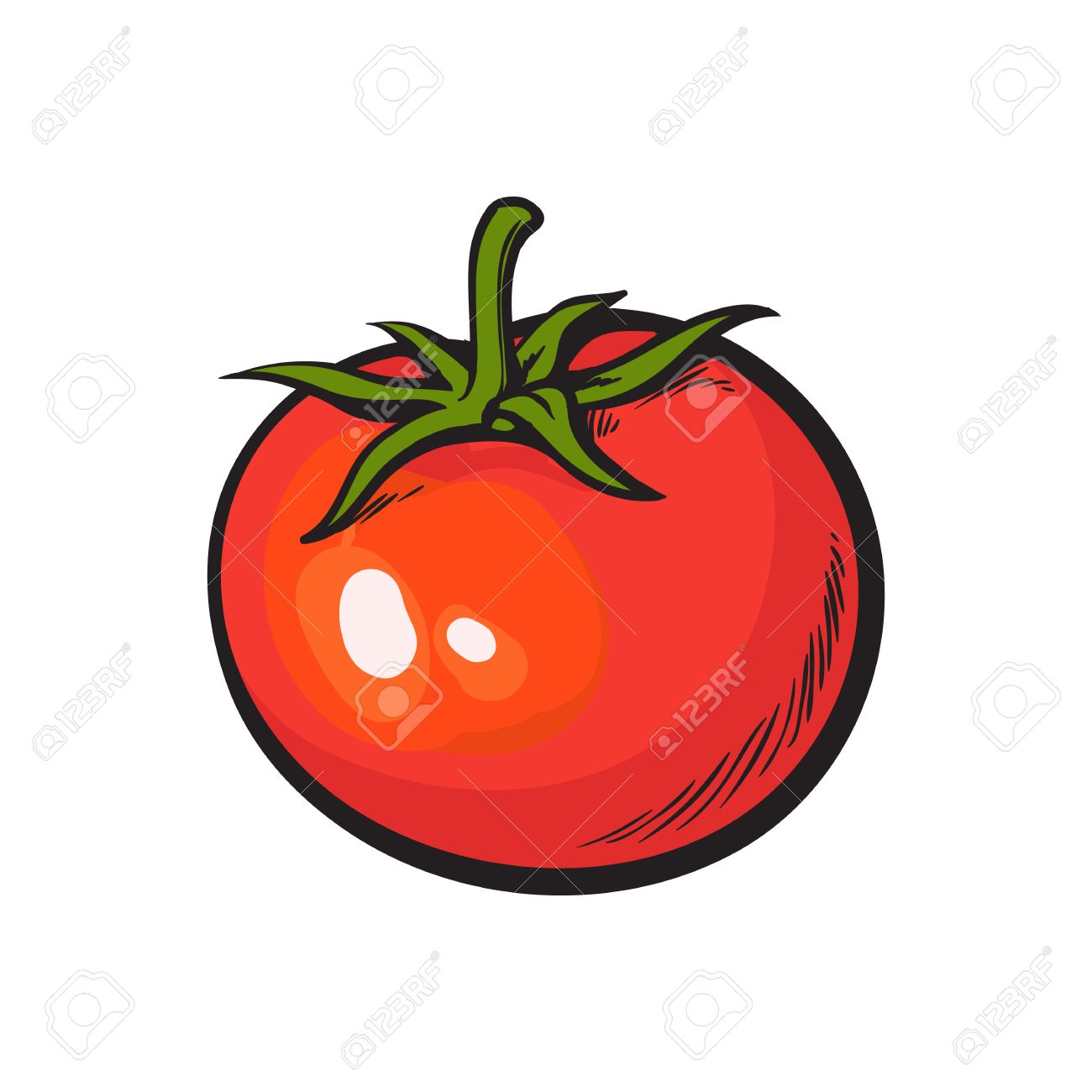 Gezocht grafisch ontwerper voor illustraties-64765596-sketch-style-drawing-shiny-ripe-red-tomato-vector-illustration-isolated-on-white-bac-jpg