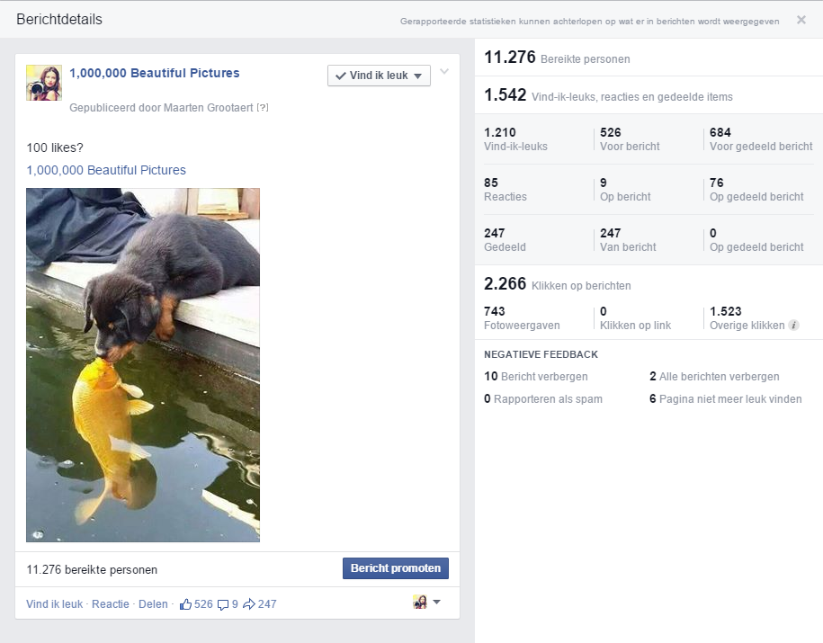 VEILING: Internationale Facebook-Pagina met 46 K organische likes!-000-000-png
